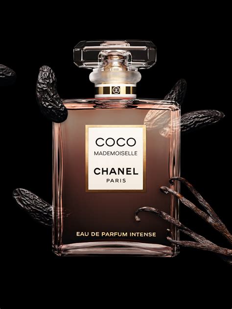 coco by chanel fragrance|Coco Chanel where to buy.